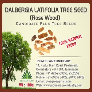 PIONEER AGRO DALBERGIA LATIFOLIA(ROSE WOOD) TREE SEED