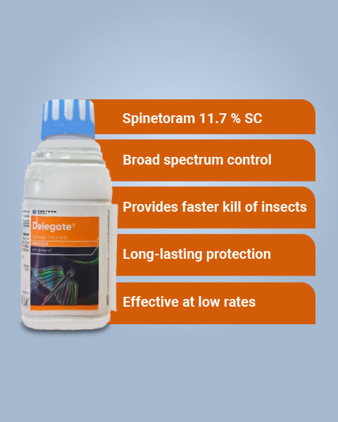 Delegate Insecticide