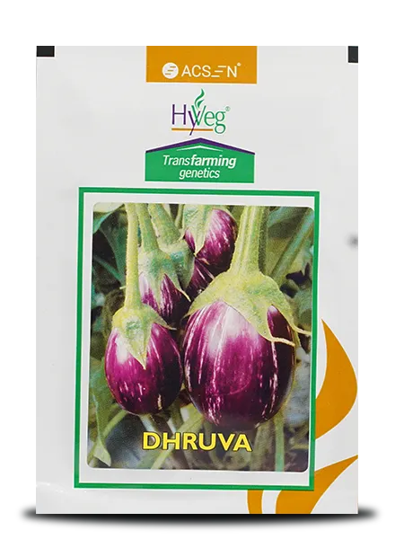 DHRUVA BRINJAL