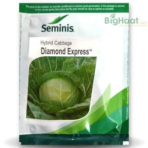 DIAMOND EXPRESS CABBAGE