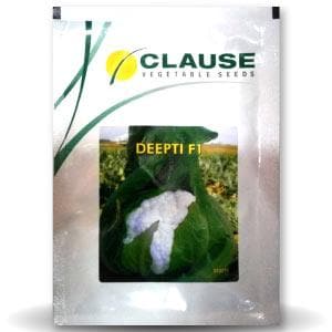 DEEPTI CAULIFLOWER SEEDS