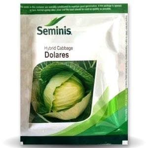 DOLARES CABBAGE