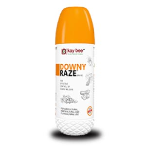 DOWNY RAZE (BIO FUNGICIDE - DOWNY MILDEW SPECIAL)