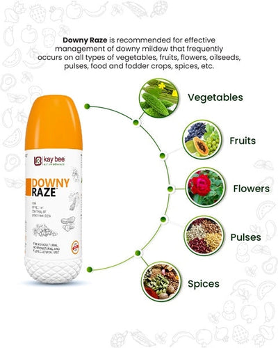 DOWNY RAZE (BIO FUNGICIDE - DOWNY MILDEW SPECIAL)