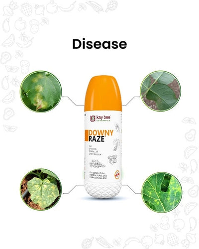 DOWNY RAZE (BIO FUNGICIDE - DOWNY MILDEW SPECIAL)