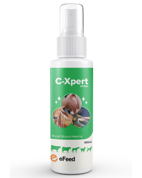 E-Feed C-Xpert spray