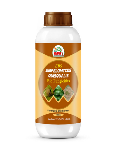 EBS AMPELOMYCES QUISQUALIS BIO FUNGICIDE