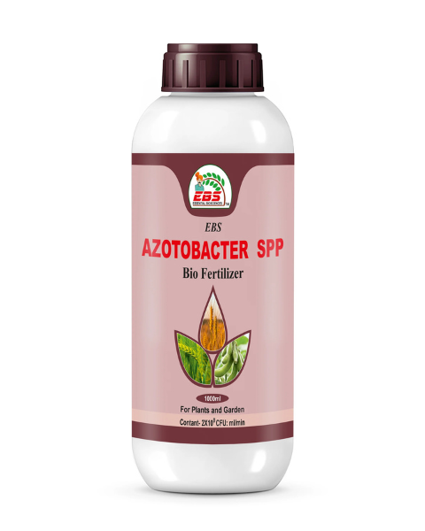 EBS AZOTOBACTER NITROGEN FIXING BIO FERTILIZER