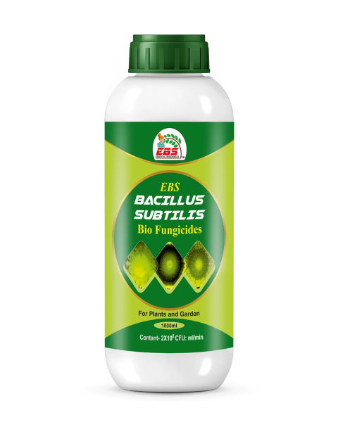 EBS BACILLUS SUBTILIS BIO FUNGICIDE