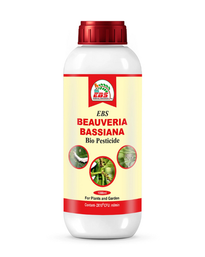 EBS BEAUVERIA BASSIANA BIO PESTICIDE