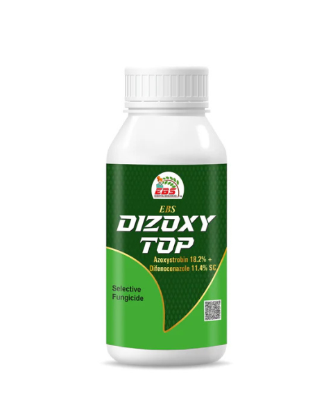 EBS DIZOXY TOP