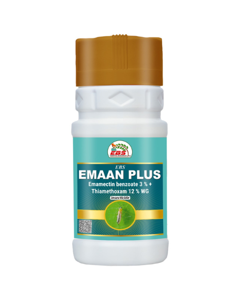 EBS EMAAN PLUS