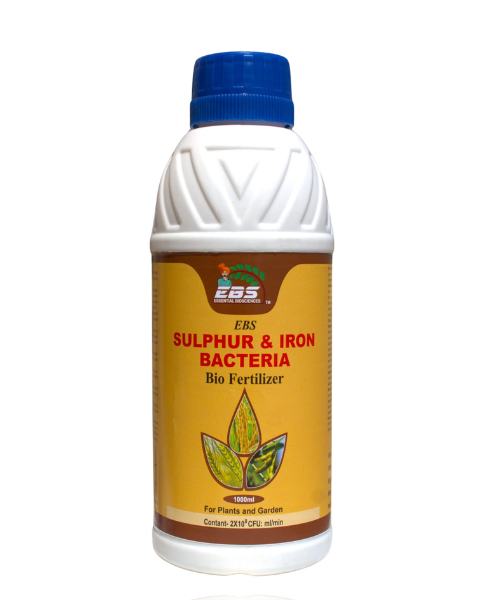 EBS SULPHUR & IRON BACTERIA BIO FERTILIZER