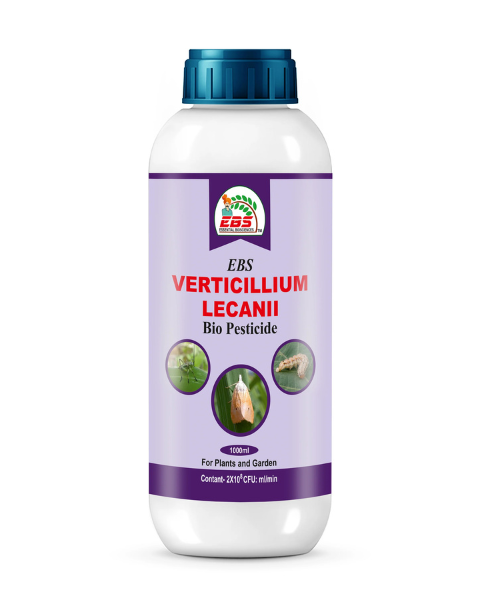 EBS VERTICILLIUM LECANII BIO PESTICIDE