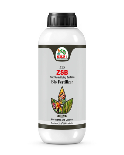 EBS ZINC SOLUBILIZING BACTERIA BIO FERTILIZER