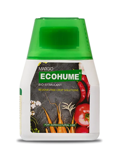 ECOHUME MAGIC BIO-STIMULANT