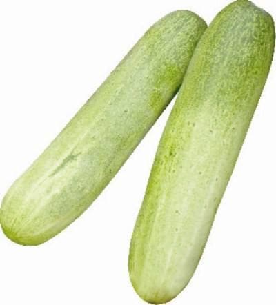 ENCOUNTER CUCUMBER