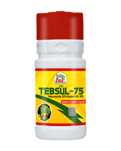 EBS Tebsul 75 Fungicides