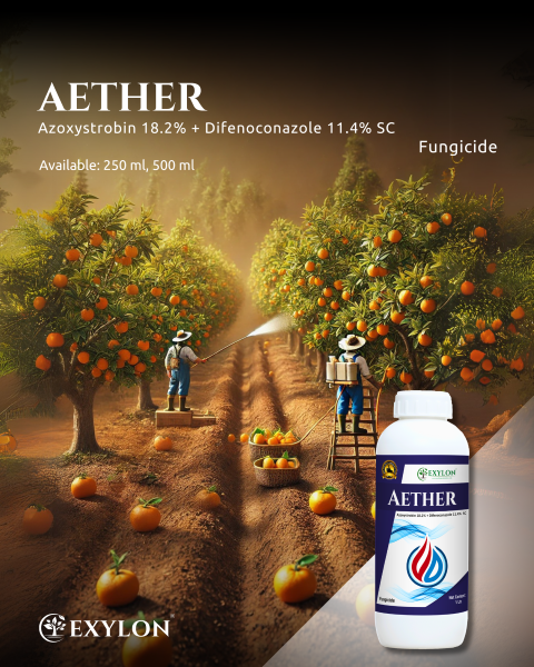 EXYLON AETHER FUNGICIDE