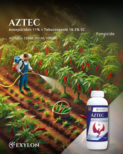 EXYLON AZTEC FUNGICIDE