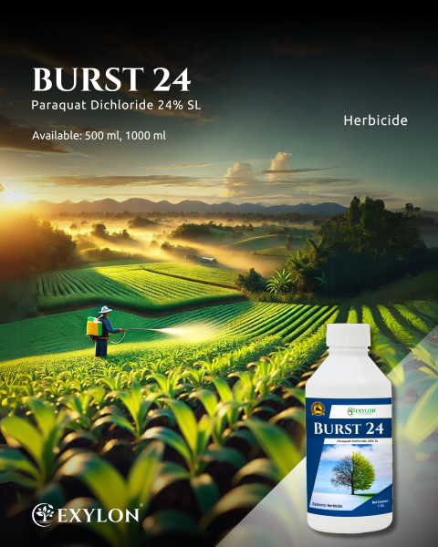 EXYLON BURST 24 HERBICIDE