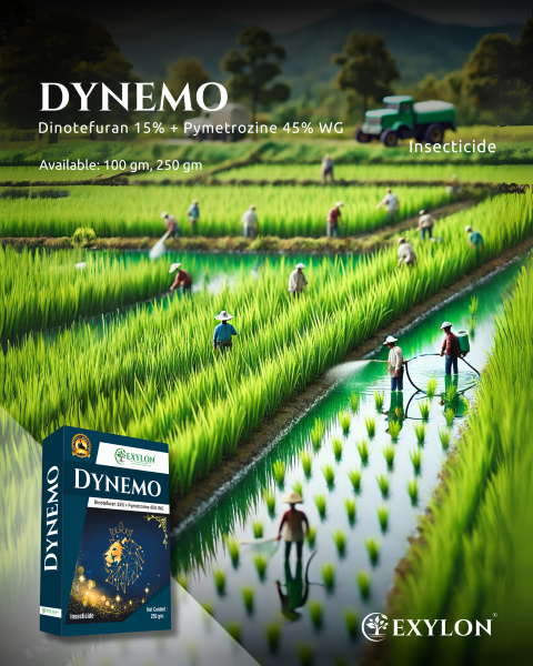 EXYLON DYNEMO