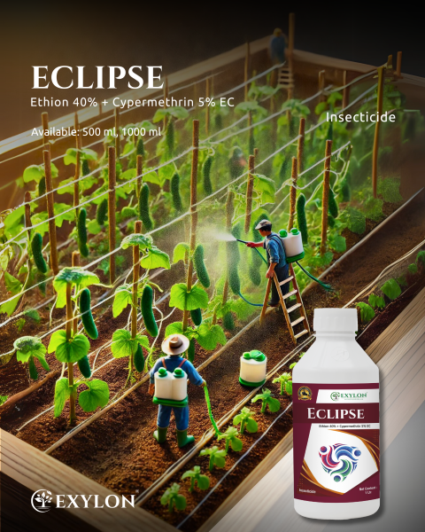 EXYLON ECLIPSE INSECTICIDE