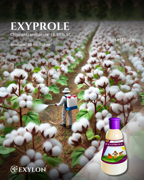 EXYLON EXYPROLE INSECTICIDE