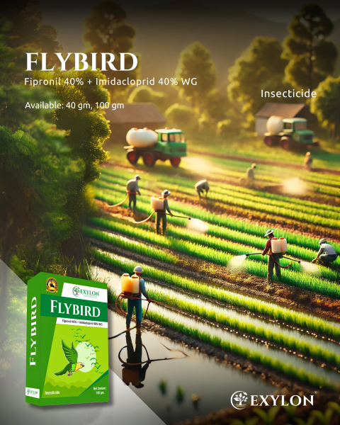 EXYLON FLYBIRD INSECTICIDE
