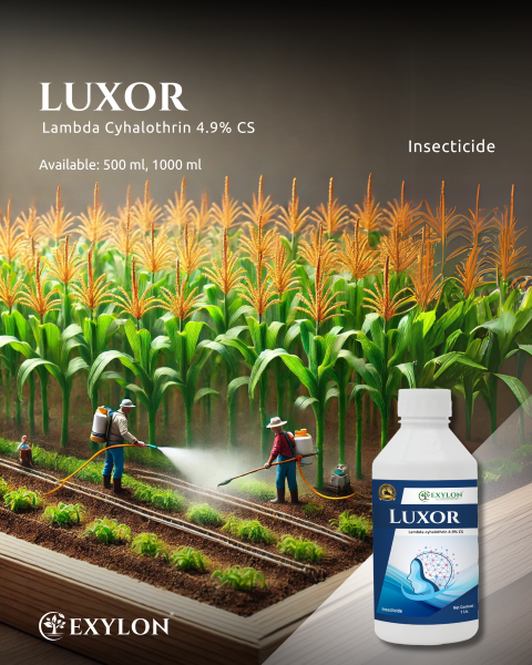 EXYLON LUXOR INSECTICIDE