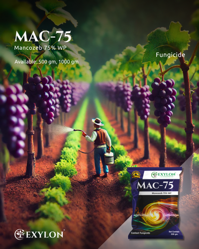 EXYLON MAC 75 FUNGICIDE