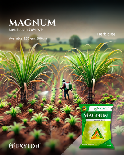 EXYLON MAGNUM HERBICIDE