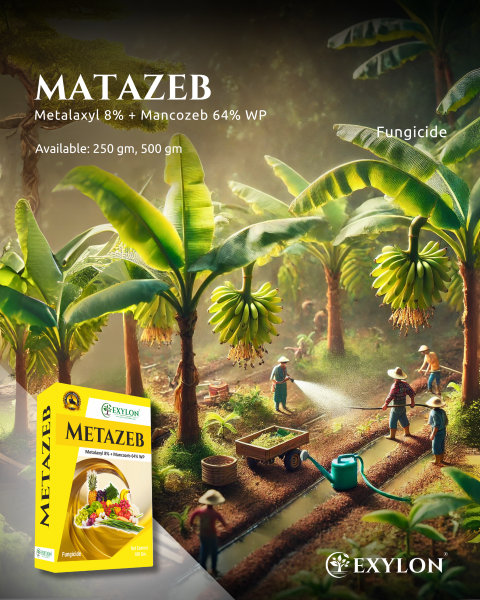 EXYLON METAZEB FUNGICIDE