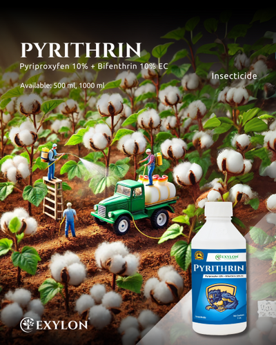 EXYLON PYRITHRIN INSECTICIDE