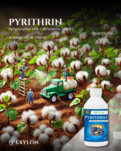 EXYLON PYRITHRIN INSECTICIDE