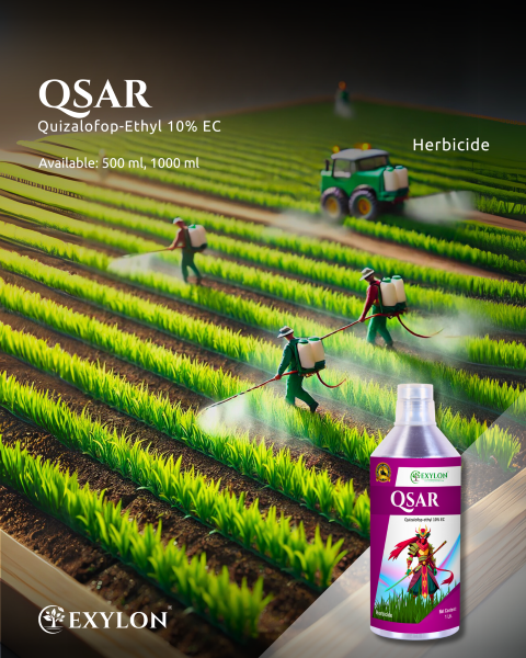EXYLON QSAR HERBICIDE