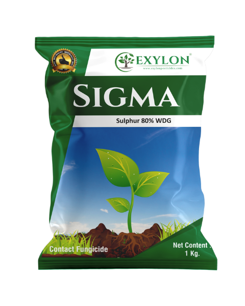 EXYLON SIGMA FUNGICIDE