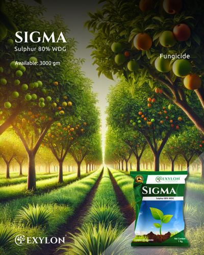 EXYLON SIGMA FUNGICIDE