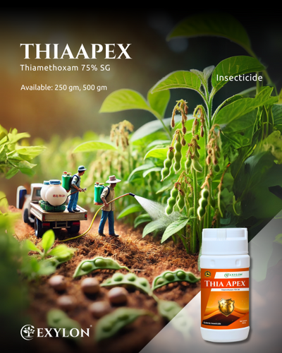 EXYLON THIAAPEX INSECTICIDE