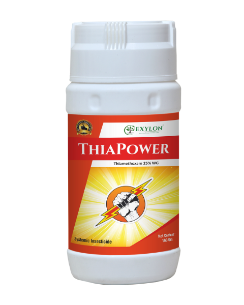 EXYLON THIAPOWER INSECTICIDE