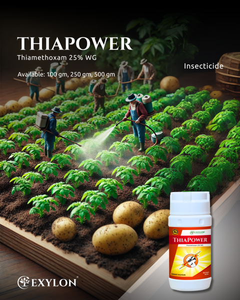 EXYLON THIAPOWER INSECTICIDE