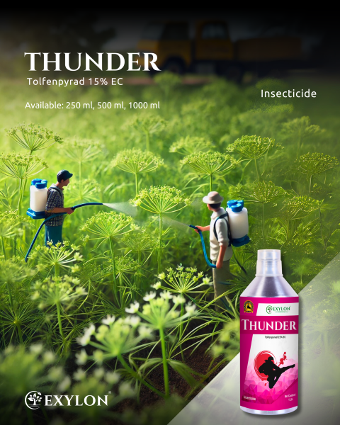 EXYLON THUNDER INSECTICIDE