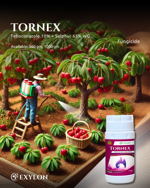 EXYLON TORNEX FUNGICIDE