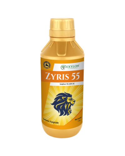 EXYLON ZYRIS 55