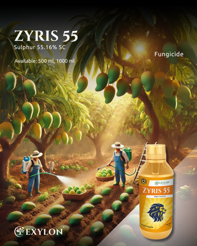 EXYLON ZYRIS 55