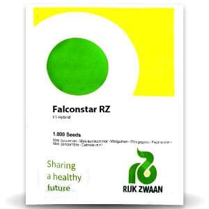 FALCONSTAR RZ F1 CUCUMBER