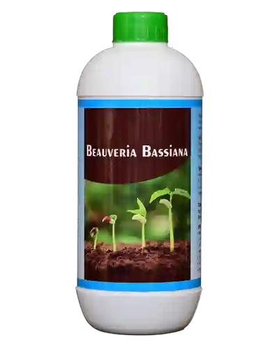 FARMROOT BEAUVARIA (LIQUID)