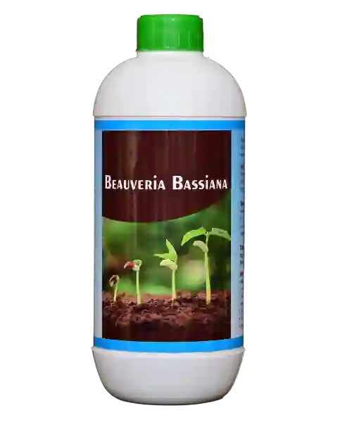 FARMROOT BEAUVARIA (LIQUID)