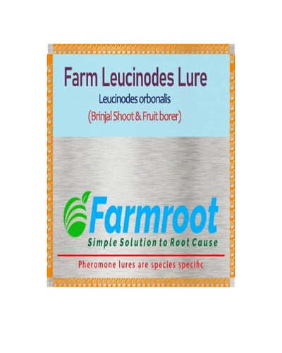 FARMROOT FARM LEUCINOIDES LURE (Brinjal)