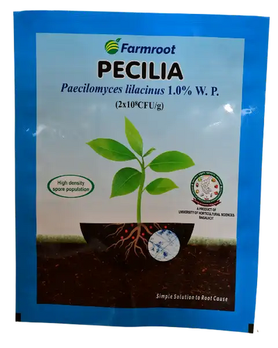 FARMROOT PECILIA